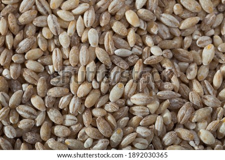 Picture of background of dry barley groats, nobody