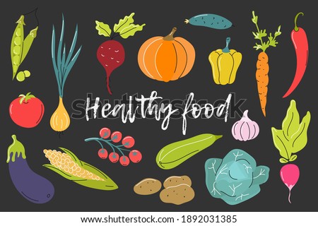 Set of fresh vegetables on a dark gray background. Vector flat image