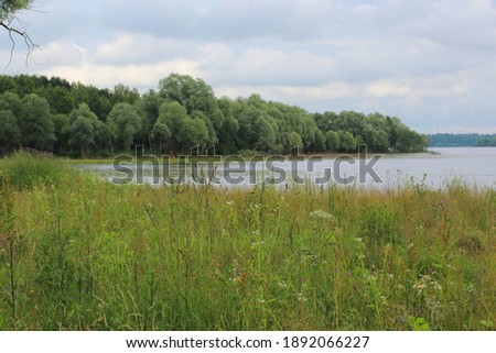 Photo of a landscape with a river and forest visible