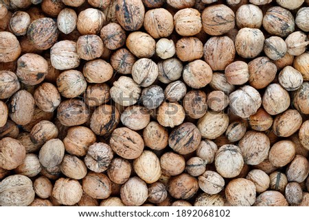 Heap of walnuts - autumn fruits
