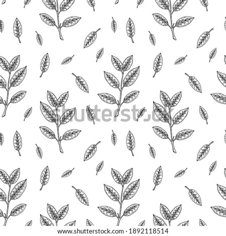 Vintage seamless pattern with hand drawn leaves and branches. Vector illustration in sketch style. 