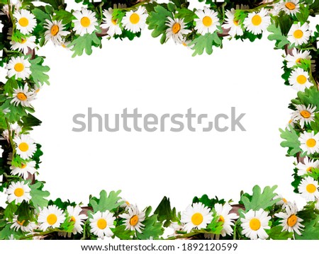 floral frame with white daisy flowers