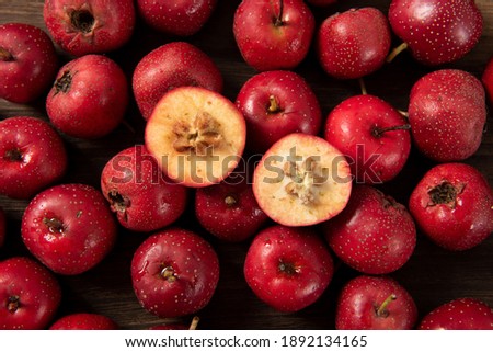 Close up of Red Hawthorn Berries covered in full screen Royalty-Free Stock Photo #1892134165