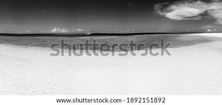 Panoramic view of Maldivian Sea and Island.