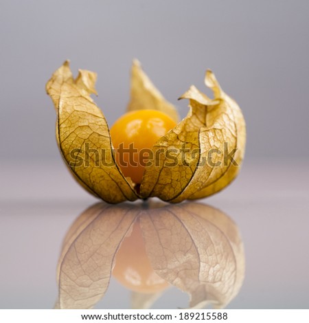 Closeup of Physalis peruviana fruit with light grey background and reflexions