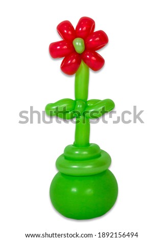 Balloons twisted into a blossoming flower isolated on white background.