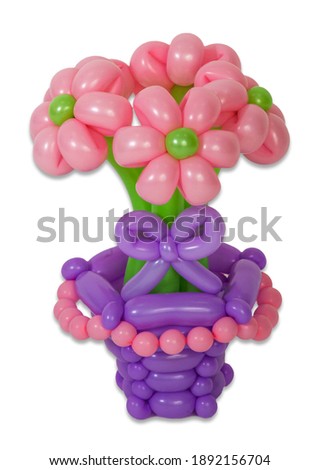 Balloons twisted into a blossoming flower bouquet isolated on white background.