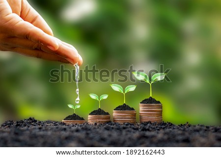 Hands are watering growing plants on coins amid blurred green nature background, financial concept, and financial investment profit.
