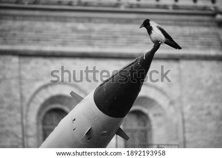 Concept photo of a crow sitting on the end of a military missile. A symbol of anxiety, war, peace. Anxious feelings about the fate of the world. 