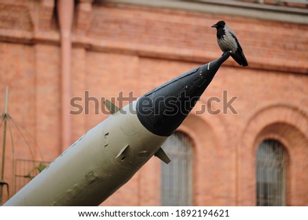 Concept photo of a crow sitting on the end of a military missile. A symbol of anxiety, war, peace. Anxious feelings about the fate of the world. Against the background of a brick building. 