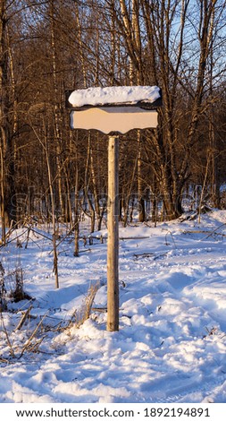 pointer with the name in the forest in winter
