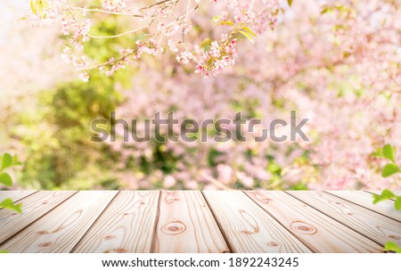 Empty wooden table in Sakura flower Park with garden bokeh background with a country outdoor theme, Template mock up for display of product Royalty-Free Stock Photo #1892243245