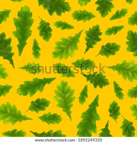 Seamless composition of oak leaves of different size on a yellow background. Seamless pattern. Top view, flat lay.