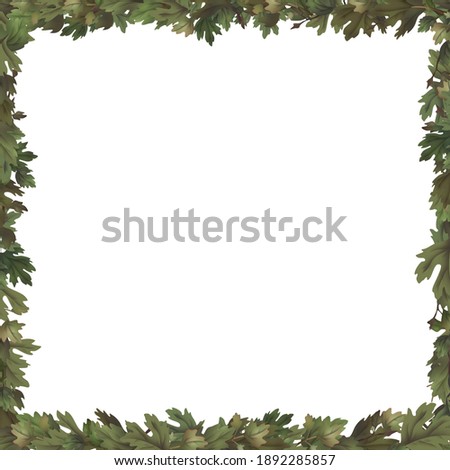 Grape green leaves frame on white background