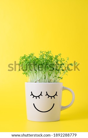 Gray mug with funny face in which grows watercress microgreens on yellow background. Springtime home gardening concept. Healthy eco food. Copy space, minimalism, vertical orientation