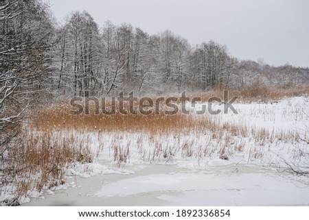 Beautiful winter frozen forest and river in snow