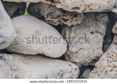Abstract Composition Textured background. Mystic mood. Close view dry round stone shaped and formless group of sea ocean coral, white grey colour, rough surface. Ideal for web banner background design