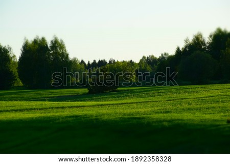 Green Grass Field Landscape with Long Shadows at Sundown. Stock Photo