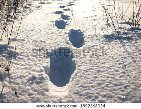Human footprints on the white frosty snow