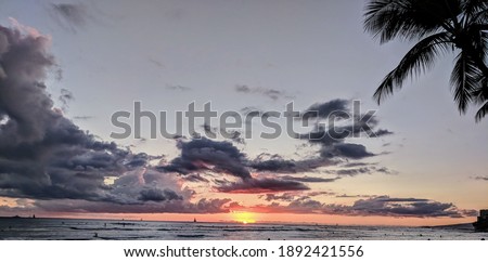 Sunset in Hawaii with palm tree in view