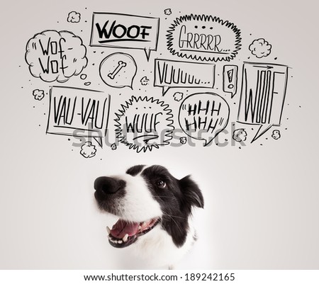 Cute black and white border collie with barking speech bubbles above her head