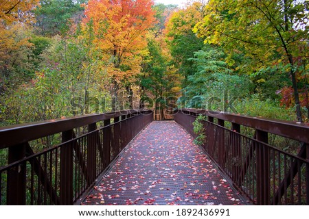 Moore Ravine Park Bridge path in the Autumn Toronto Ontario 