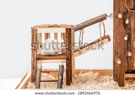 Playground made of natural wood for rodents on a white background. Natural living house for hamsters, gerbils, mice