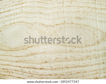 Photo of a tree in section. The texture of a light saw cut pine.
