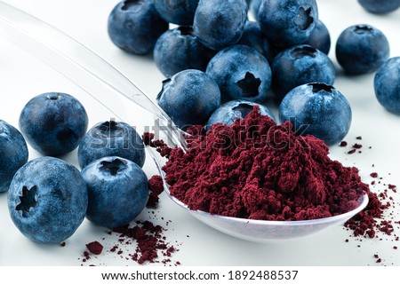 Antioxidant rich Blueberry Powder made freeze dried super food and hand picked wild Nordic berry dry blueberry powder Healthy and trendy food from nature Royalty-Free Stock Photo #1892488537