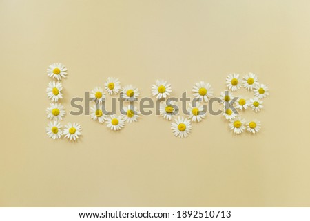 Word Love made of flowers daisies on beige background. Flat lay, top view. Spring, St valentines day concept.