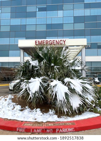 Emergency room entrance with snow covered palms