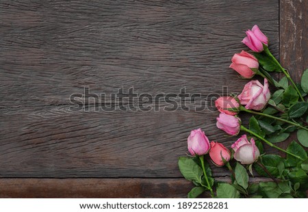 Flowers on a wooden background. Pink roses frame on wooden surface with copy space