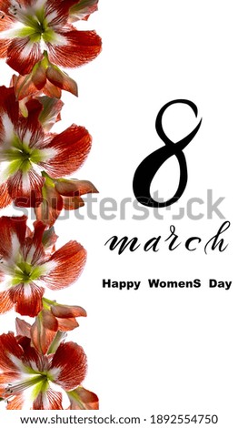 International Women's Day March 8! Flat Lay, banner, greeting card with flowers from March 8.