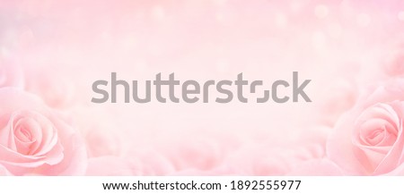 Pink Rose flowers with blurred sofe pastel color background for love wedding and valentines day.
