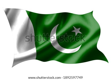Pakistan national flag silk icon