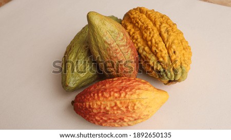 cacao pods that are ripe and ready for further processing
