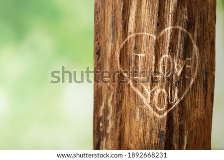 Phrase I Love You carved on tree bark outdoors