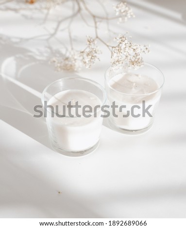 Two candles on a white background with shades, white mood, minimalism, flower with it.