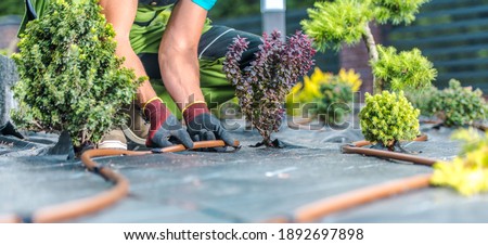 Landscaping and Gardening Industry. Modern Garden Irrigation System Building by Caucasian Garden Technologies Worker in His 40s. Providing Water Supply Pipeline Between Plants. Royalty-Free Stock Photo #1892697898