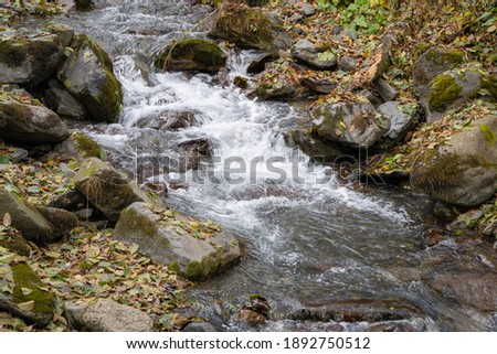 Fast mountain river Beshenka flows among stones and trees. Urban-type settlement Krasnaya Polyana resort in Caucasus Mountains near Sochi. Landscape of fast river with small waterfalls.