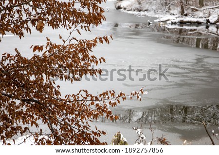 Snow landscape with limb of snow and snowy river or lake very cold scenic