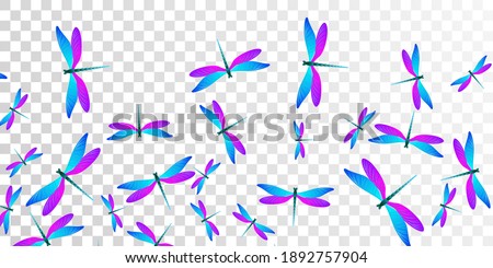 Magic blue purple dragonfly isolated vector background. Summer vivid insects. Wild dragonfly isolated dreamy illustration. Delicate wings damselflies patten. Tropical creatures
