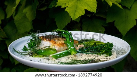 Food on a plate, close up, green vine background