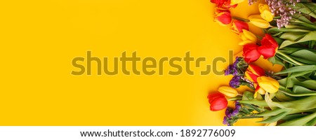 Yellow colorful Holiday banner. Bouquet of red yellow tulips on bright yellow background. Mother's day, Valentines Day, Birthday celebration concept. Hallo Spring, Copy space, top view, greeting card