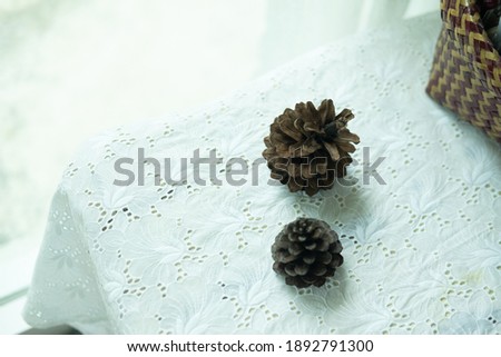Two pine cones on table at home, decoration in home