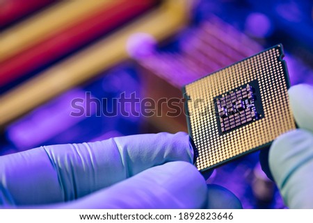 Computer support engineer installing processor. Microprocessor with clearly visible silicon core and cache chip. Installation of computer processor in the socket. Royalty-Free Stock Photo #1892823646