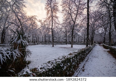 Madrid, Spain - 8th January 2021: snowy Retiro park