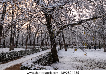 Madrid, Spain - 8th January 2021: snowy Retiro park