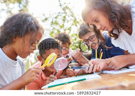 Children curiously look through a magnifying glass at a leaf in the ecological summer camp Royalty-Free Stock Photo #1892832427