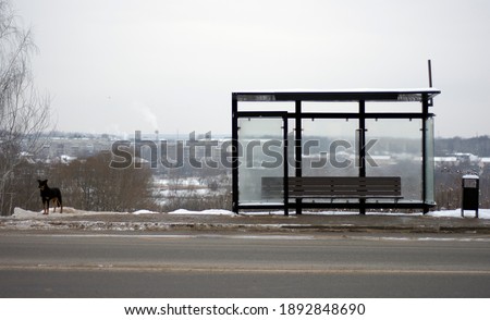 Empty stop in the cold snowy weather. Street. Winter day. public transport. Stop without people, without passengers. bus stop sign. Nobody Royalty-Free Stock Photo #1892848690
